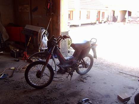 Yamaha sting billede 1