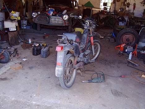 Yamaha sting billede 3