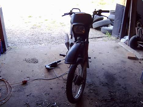 Yamaha sting billede 4