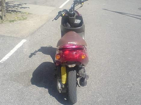 PGO rodoshow  billede 1