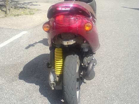 PGO rodoshow  billede 4