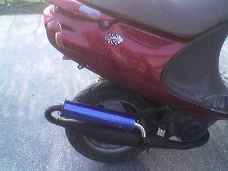 PGO rodoshow  billede 5