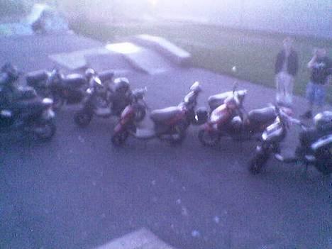 PGO rodoshow  billede 7