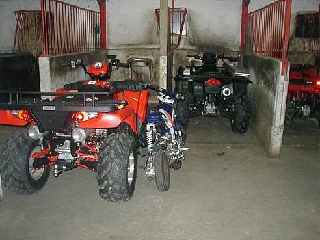 Suzuki Street Magic - solgt billede 9