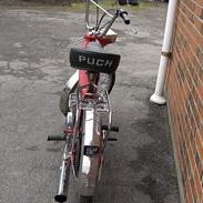 Puch Maxi k  ~nibe~