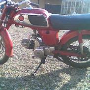 Honda cd50