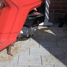 Honda Melody NT50 Solgt