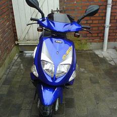 PGO Dr. Big -->> SOLGT <<--