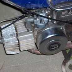 Puch maxi 