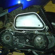 PGO Dr. Big -->> SOLGT <<--