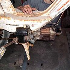 Veteraner bonnie projekt