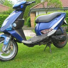 PGO Dr.Big NY Projekt (solgt)