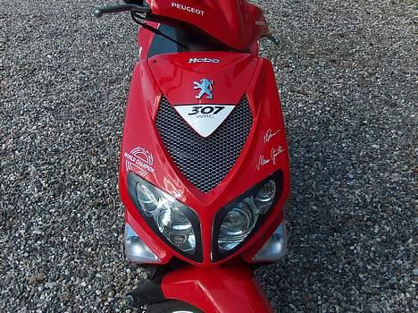 Peugeot wrc 307 billede 8