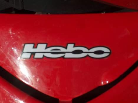 Peugeot wrc 307 billede 9