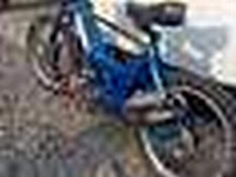 Puch Maxi K projekt solgt billede 5