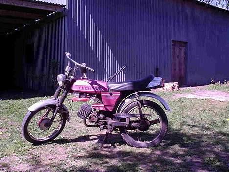 Puch grand prix billede 1