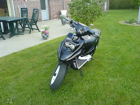 PGO Hot 50 ( Brændt ned ) billede 5