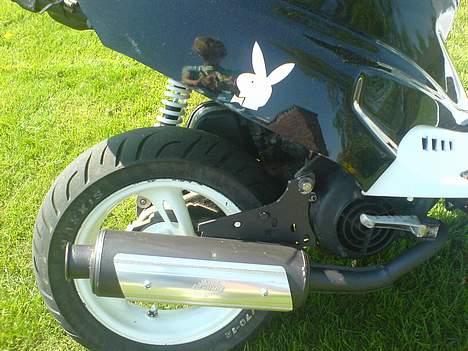 PGO Hot 50 ( Brændt ned ) billede 7