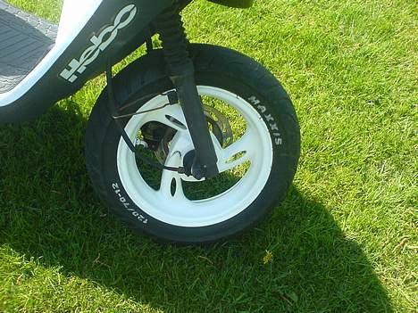 PGO Hot 50 ( Brændt ned ) billede 8