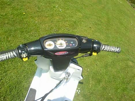 PGO Hot 50 ( Brændt ned ) billede 9