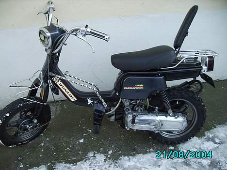 Suzuki fz50 SOLGT HIRTSHALS billede 1