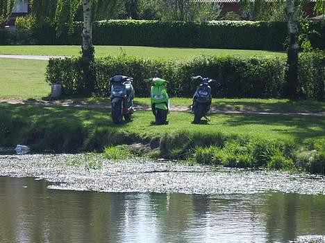 Aprilia Rally [ Projekt ] - Læg da lige en kommentar og stemme, nu hvor i alligevel kigger.. (: billede 13