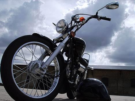 Regal Raptor Solgt billede 1