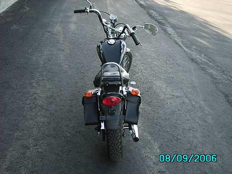 Regal Raptor Solgt billede 3