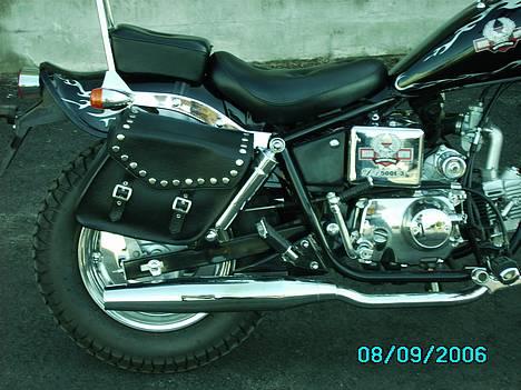 Regal Raptor Solgt billede 4