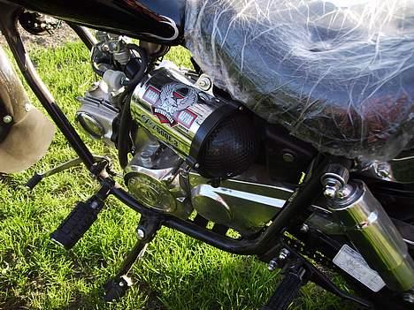 Regal Raptor Solgt - Det specielle luftfilter billede 6