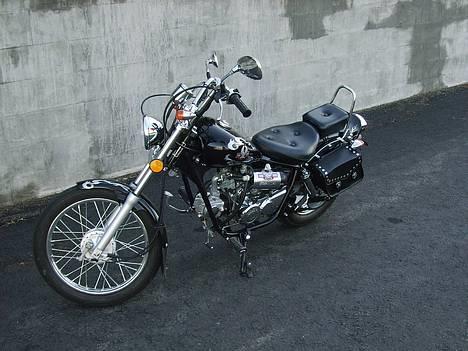 Regal Raptor Solgt billede 7