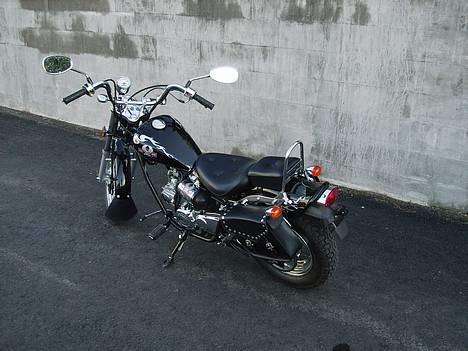 Regal Raptor Solgt billede 8