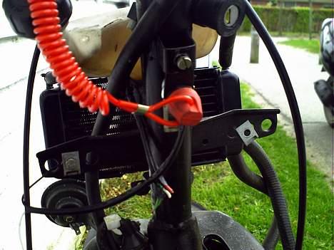 Piaggio nrg baneracer solgt - dødmandsknap billede 8