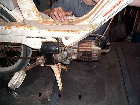 Veteraner bonnie projekt billede 2