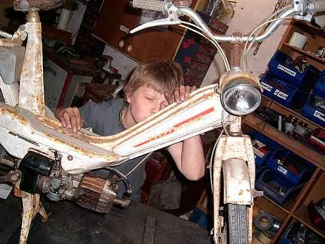 Veteraner bonnie projekt billede 3