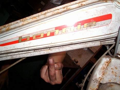 Veteraner bonnie projekt billede 4