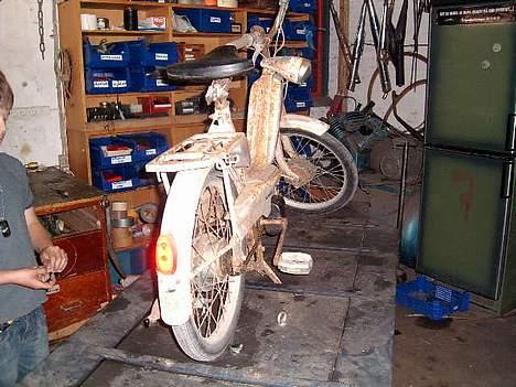 Veteraner bonnie projekt billede 5