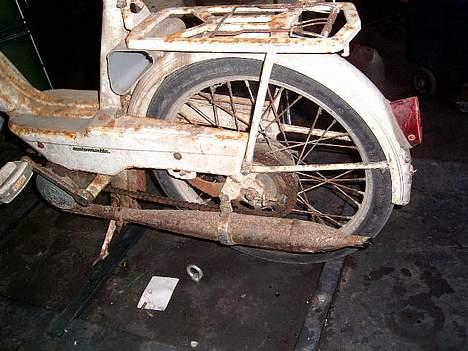 Veteraner bonnie projekt billede 6