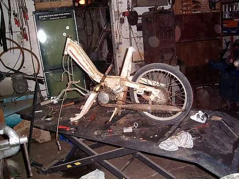 Veteraner bonnie projekt billede 7