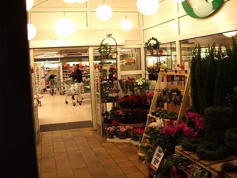 Yamaha 4 Gear billede 9