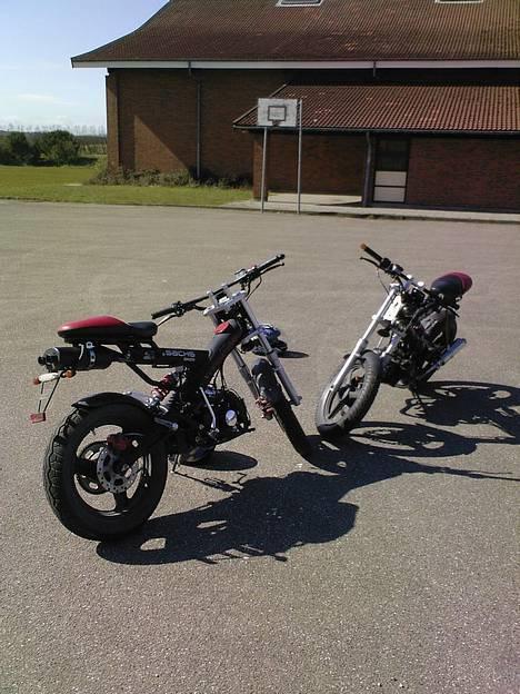 Sachs -|- MadAss -|- billede 5