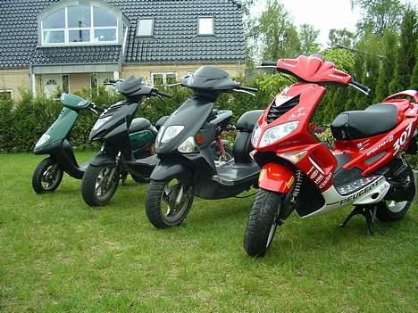 PGO Dr. Big billede 11