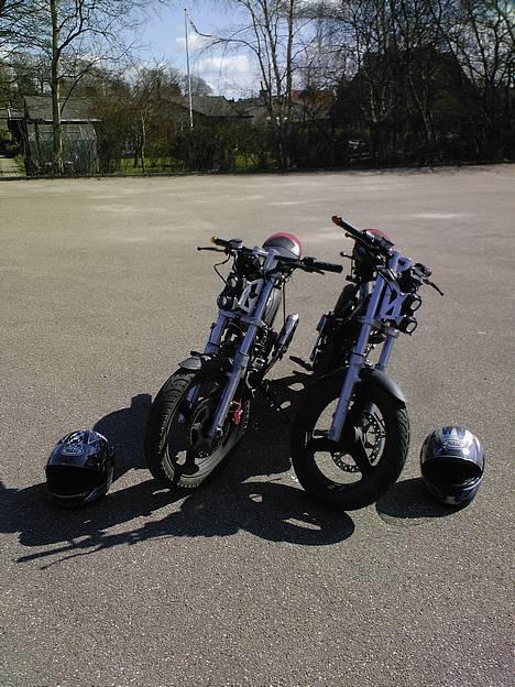 Sachs -|- MadAss -|- billede 6