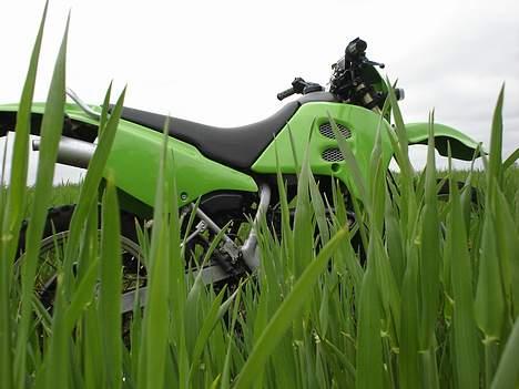 Suzuki RMX1 - Solgt: 10500 ,-  billede 13