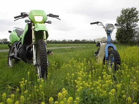 Suzuki RMX1 - Solgt: 10500 ,-  - Uhhh, Agurken gemmer sig ;D billede 14