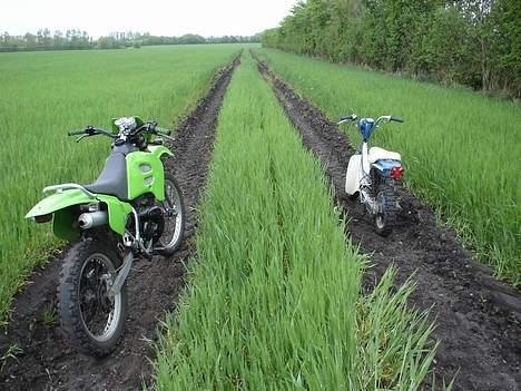 Suzuki RMX1 - Solgt: 10500 ,-  billede 15