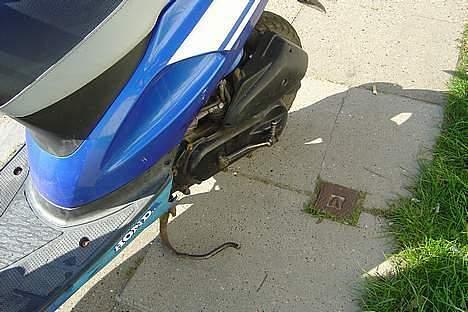 Honda SFX »Hirtshals <3Solgt - Motor billede 6