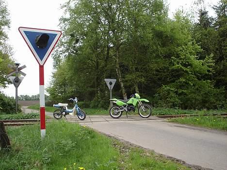 Suzuki RMX1 - Solgt: 10500 ,-  billede 16