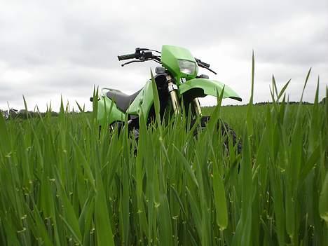 Suzuki RMX1 - Solgt: 10500 ,-  - Hvem sagde grøn? billede 18