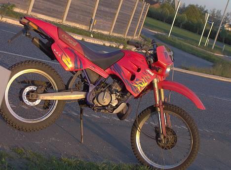 Derbi R Bad boy :Væk billede 1